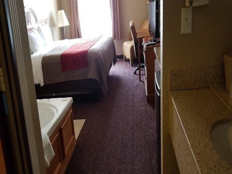 Comfort Inn & Suites And Suites Fredericksburg Esterno foto